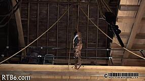 Lusty Collared Sweetheart Gets Ravished Naughtily