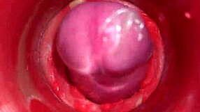 Camera Inside Pussy Powerful Cum Internal ASMR