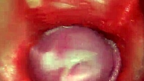 Camera Inside Pussy Powerful Cum Internal ASMR