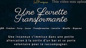 Watch this transforming french furry doggy style scene.