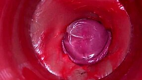 Camera Inside Pussy Powerful Cum Internal ASMR