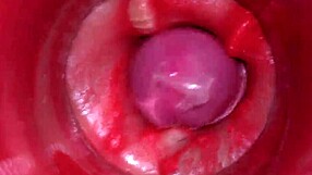 Camera Inside Pussy Powerful Cum Internal ASMR