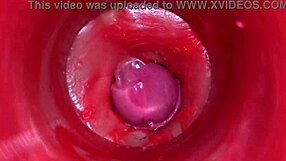 Camera Inside Pussy Powerful Cum Internal ASMR