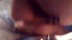 Latina Swallows