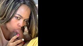 She sucks my cock while I set up her accounts, moaning with pleasure