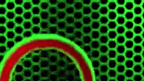 Angelina Castro squeezes something in this video