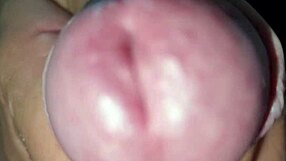 Apri La Bocca E Succhialo Tutto - Cazzo Duro E Sega Con Sborrata