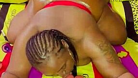 sundaydogood614 - update 1012 - vid 20250421 125736 - apr 21 2025