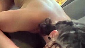 streetwalker with big ass and perfect tits watches as she gets fucked from behind then takes a load of cum in her pussy