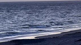 point break xxx beach party package with yoga thong and bubble butt