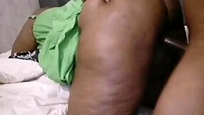 Nigarchrist Petal Update June 2025