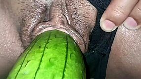 Family Relationship Dynamics Explored