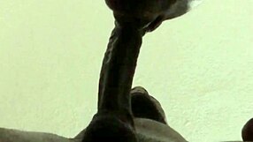 He cums hugely while I keep sucking his big load