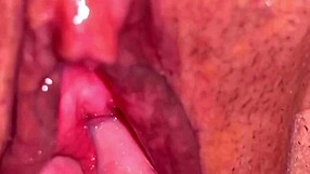 AMATEUR PINK PUSSY 113 DAYS AFTER LOSING HER VIRGINITY!