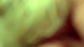 tarot - three of swallows