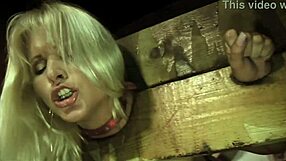 AMATEUR DP ANAL GANGBANG ORGY FEST - KINKY MILF BABES