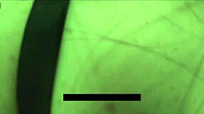 oh, back to classes, your milf helps with stress