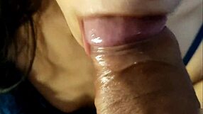 Amateur Blowjob Close-Up Sucking