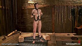 Brunette Forced to Suck Cock for Gimp in BDSM Bondage