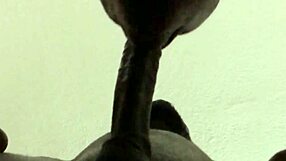 He cums hugely while I keep sucking his big load