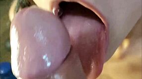 Amateur Blowjob Close-Up Sucking