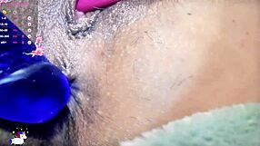 Chilean amateur on webcam night using dildo for anal and remote lovense control 😏