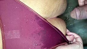 Intimate desire and submission in swing world