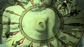 Vintage Erotic Art Collection