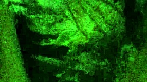 Whore Bred Without Protection