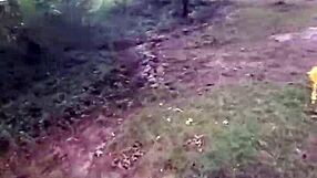 Impregnablelexa Takes Wolfdaddy901 Bareback In Public Park