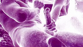 Vintage Erotic Art Collection