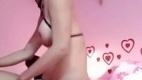 legacy mess icy loves pink ass length 10 59 model icy nokyung