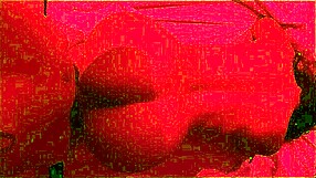 fodendo uma gostosa que eu conheci na praia morena da raba grande - pov