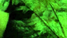 Whore Bred Without Protection