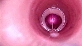 Grandpas & Grannies Cumshots!