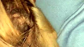 skilled amateur milf delivers perfect blowjob before hardcore sex