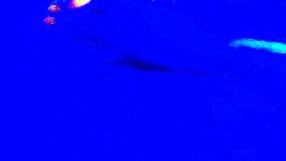 I enjoy blacklight fetish