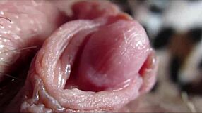 Big clit closeup leads to intense orgasm
