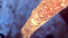 Having Sex With Real Life Witch In Woods