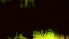 Vintage erotic art collection from antique retro period