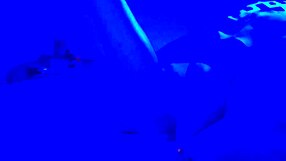 I enjoy blacklight fetish