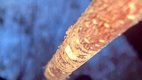 Having Sex With Real Life Witch In Woods