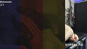 Training in action complete collection bundle iii