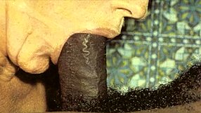 vintage interracial anal threesome action