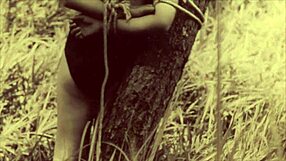 Dark lantern entertainment presents steam age stories