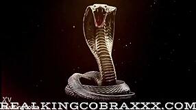 BriBrooksXXX sucks big black cock!