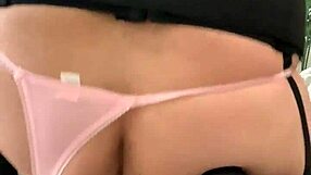 Quiero Verga Ya Please With Shemale Transsexual Desire