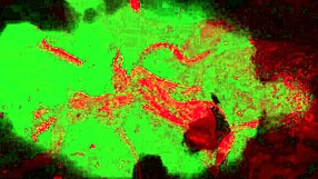 Can't you handle this succubus frost onoskelis in bisexual monster sex scenes?