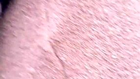 are you crazy horny to give your wet pussy on the street?