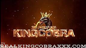 BriBrooksXXX sucks big black cock!